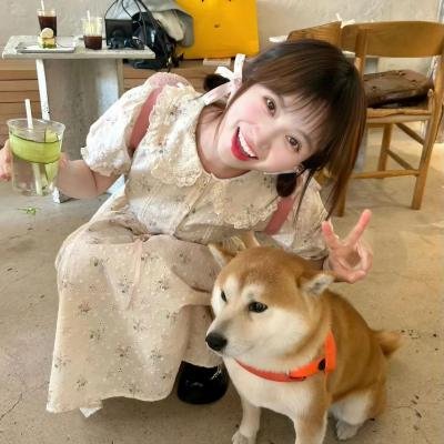 命运快车粤语