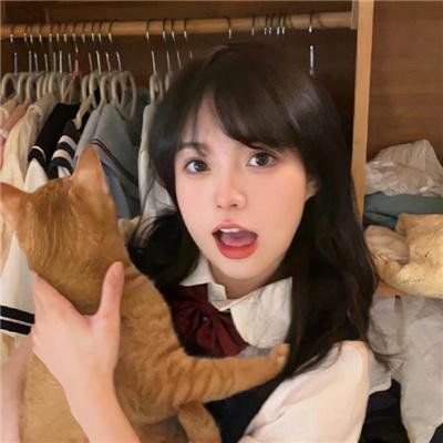 猫和老鼠：飙风天王